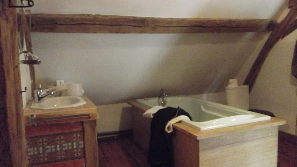 La Touche Bed and Breakfast Menetou-sur-Nahon Rum bild