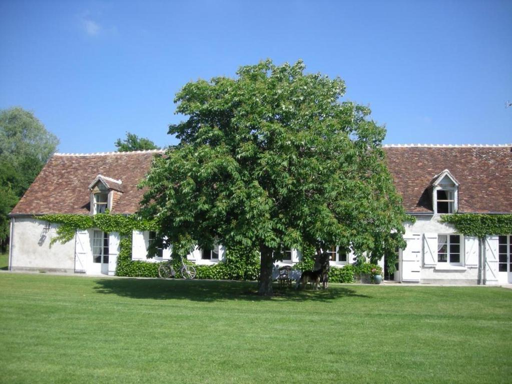 La Touche Bed and Breakfast Menetou-sur-Nahon Exteriör bild